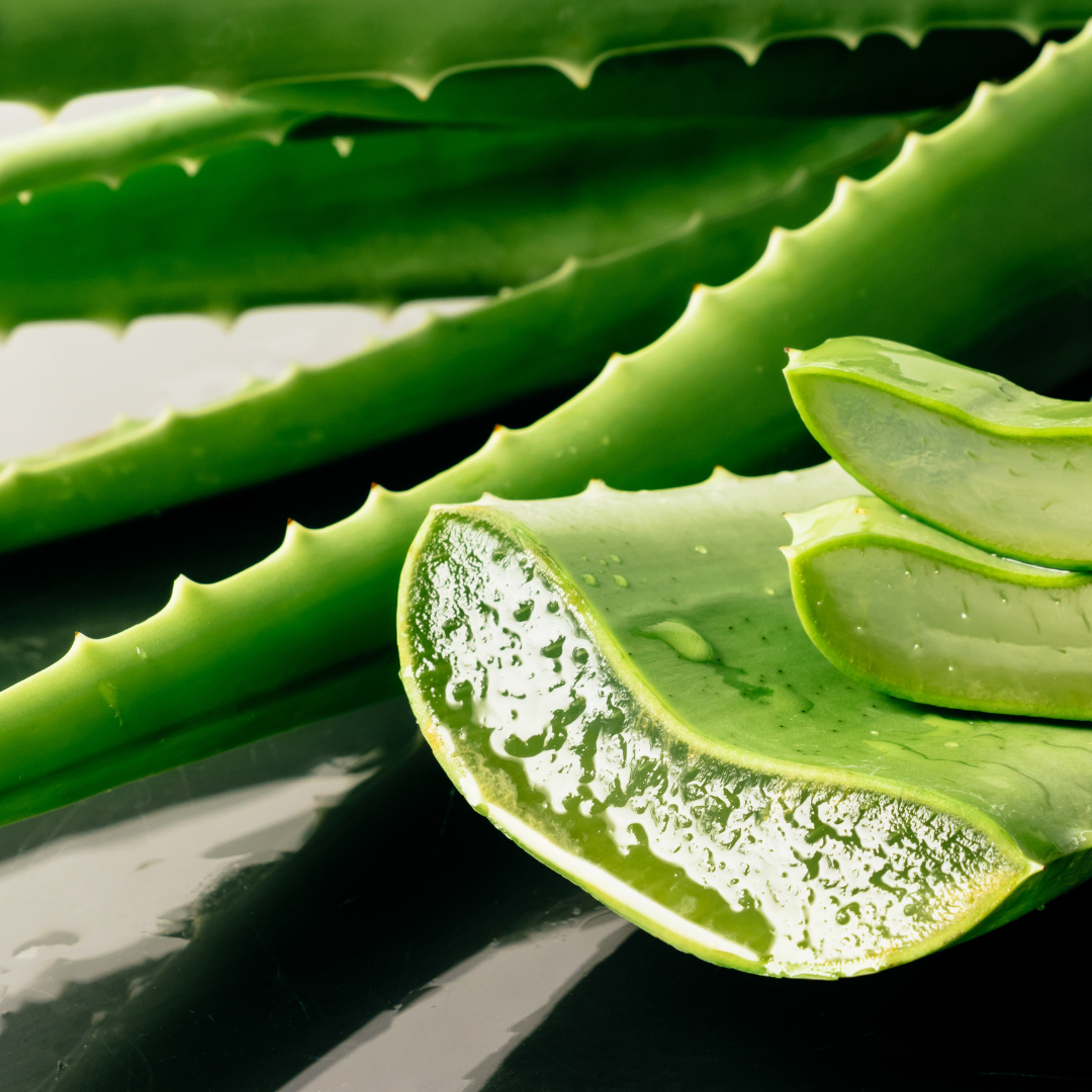 esi aloe vera gel – 100% pure – 100ml esi aloe vera gel – 100% pure – 100ml